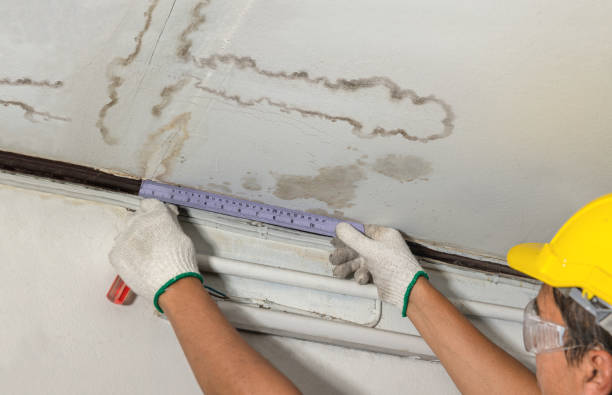 Reliable Structural Drying contractor in Hart, MI by Water Damage Irwin